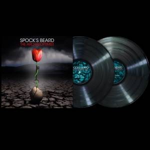 SPOCKS BEARD - The Archaeoptimist (2 LP - Black)